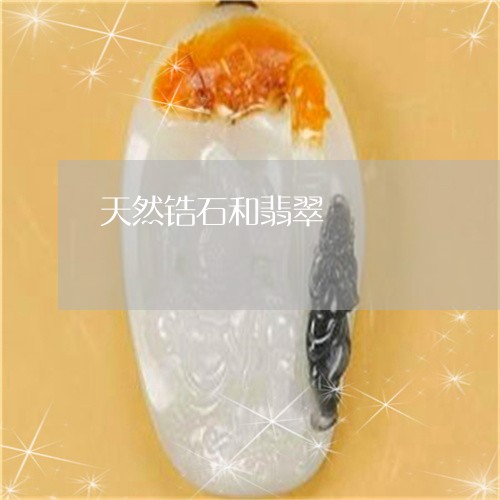 天然锆石和翡翠/2023040373614 天然锆石和翡翠/2023040373614