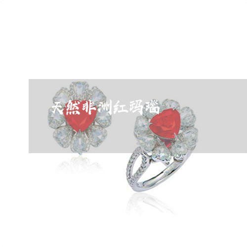 天然非洲红玛瑙/2023040387149 天然非洲红玛瑙/2023040387149