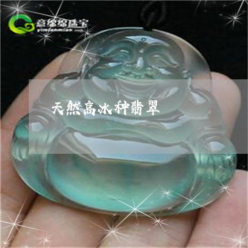 天然高冰种翡翠/2023040395638 天然高冰种翡翠/2023040395638