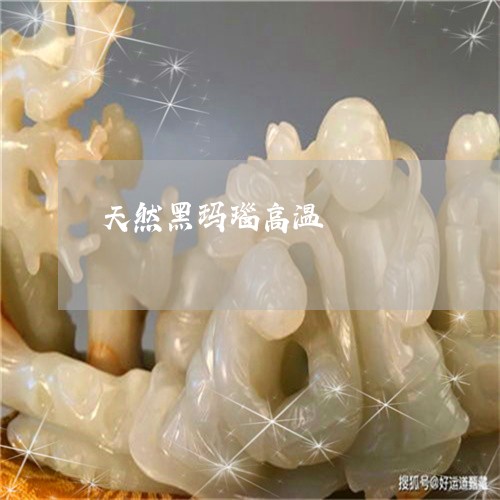 天然黑玛瑙高温/2023040308057 天然黑玛瑙高温/2023040308057