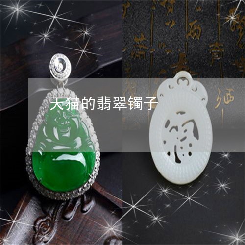 天猫的翡翠镯子/2023040395846 天猫的翡翠镯子/2023040395846