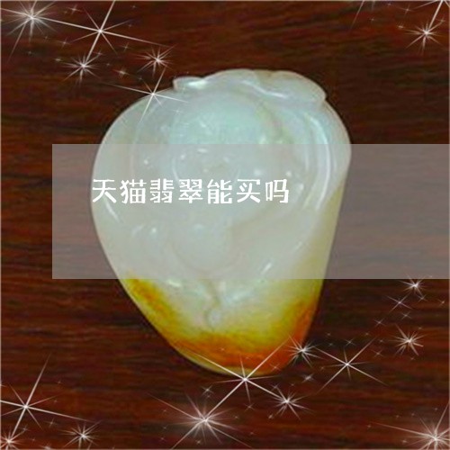 天猫翡翠能买吗/2023040394847