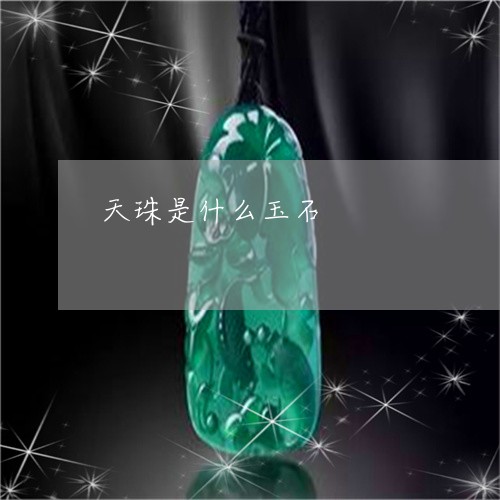 天珠是什么玉石/2023040307360