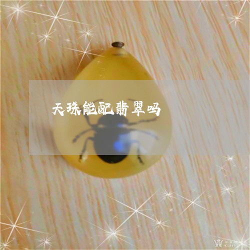 天珠能配翡翠吗/2023040371592 天珠能配翡翠吗/2023040371592