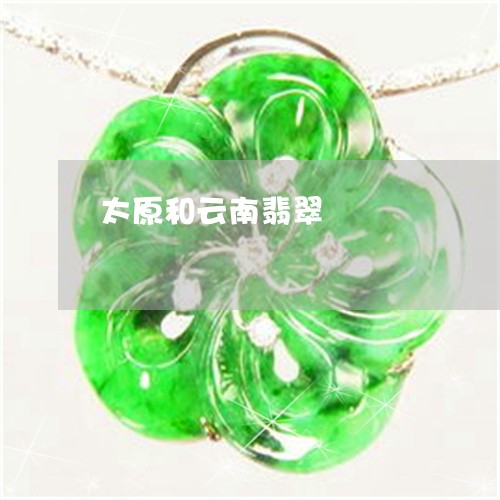 太原和云南翡翠/2023040360594 太原和云南翡翠/2023040360594