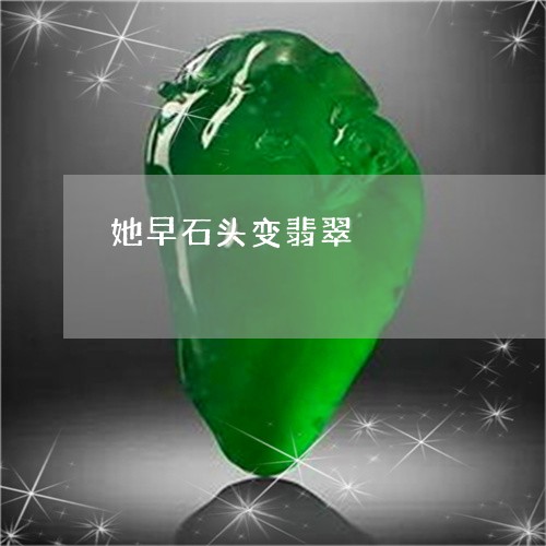 她早石头变翡翠/2023040385937