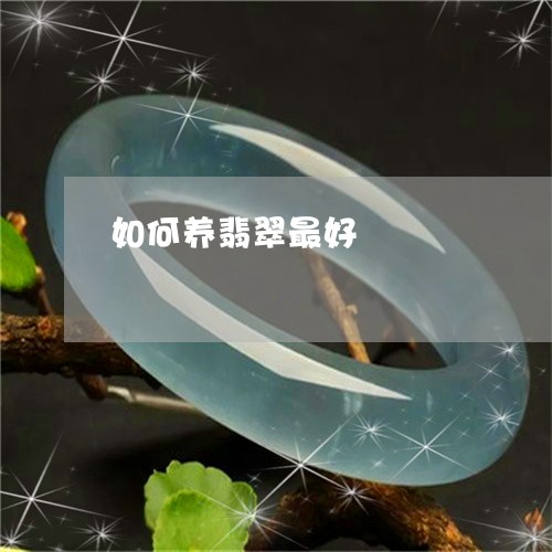 如何养翡翠最好/2023040365041 如何养翡翠最好/2023040365041