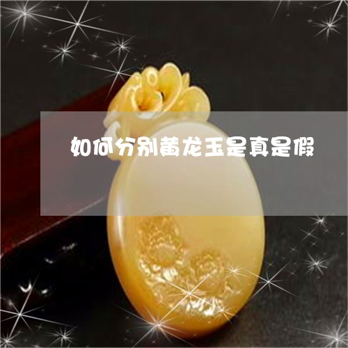 如何分别黄龙玉是真是假/2023061860572