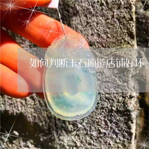 如何判断玉石项链店铺好坏/2023071102805