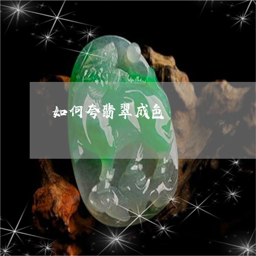 如何夸翡翠成色/2023040328303