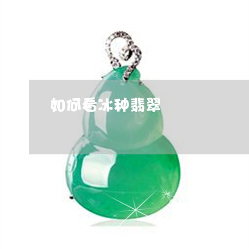 如何看冰种翡翠/2023040284935 如何看冰种翡翠/2023040284935
