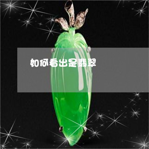 如何看出是翡翠/2023040226939 如何看出是翡翠/2023040226939