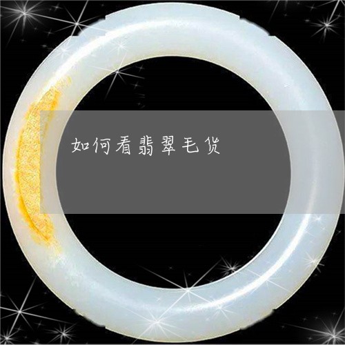 如何看翡翠毛货/2023040284815 如何看翡翠毛货/2023040284815