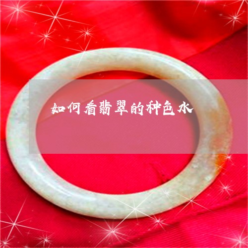 如何看翡翠的种色水/2023042003926 如何看翡翠的种色水/2023042003926