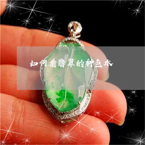 如何看翡翠的种色水/2023042009371 如何看翡翠的种色水/2023042009371