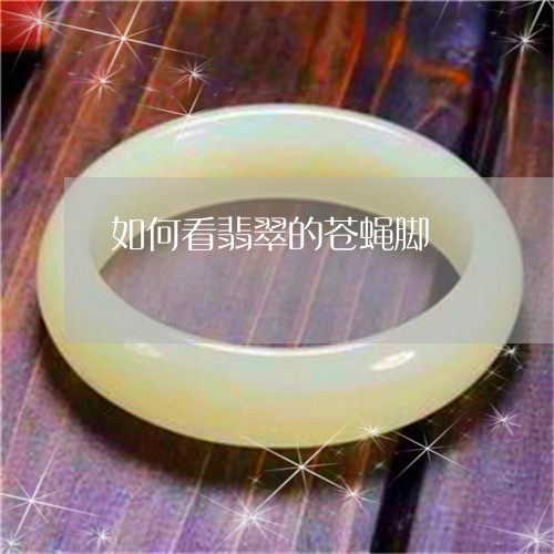 如何看翡翠的苍蝇脚/2023042088370 如何看翡翠的苍蝇脚/2023042088370