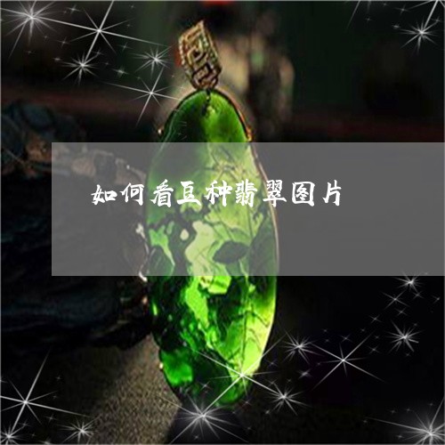 如何看豆种翡翠图片/2023042097169 如何看豆种翡翠图片/2023042097169