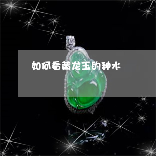 如何看黄龙玉的种水/2023042004815 如何看黄龙玉的种水/2023042004815