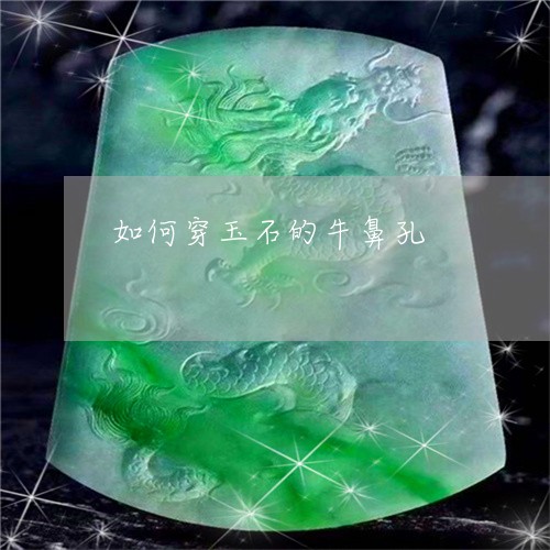 如何穿玉石的牛鼻孔/2023042016836