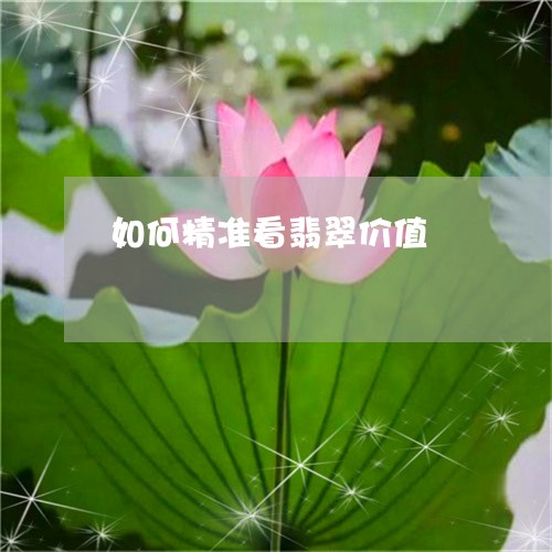 如何精准看翡翠价值/2023042048279 如何精准看翡翠价值/2023042048279