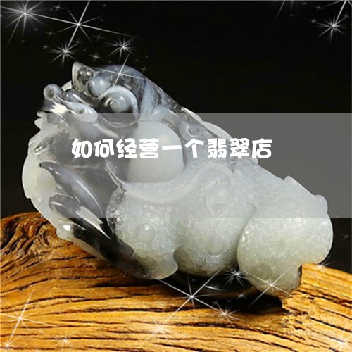 如何经营一个翡翠店/2023042021503