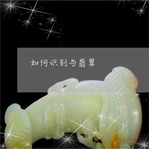 如何识别与翡翠/2023040396078 如何识别与翡翠/2023040396078