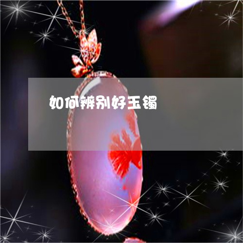 如何辨别好玉镯/2023040387360