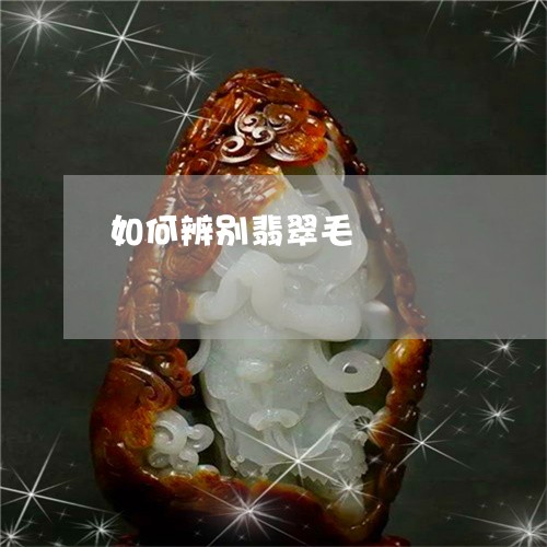 如何辨别翡翠毛/2023040305957