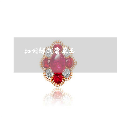 如何辨别翡翠玉/2023040320268