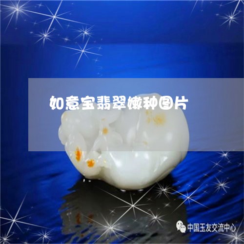 如意宝翡翠嫩种图片/2023042056372