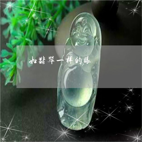 如翡翠一样的眼/2023040350480 如翡翠一样的眼/2023040350480