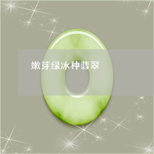 嫩芽绿冰种翡翠/2023040306048 嫩芽绿冰种翡翠/2023040306048