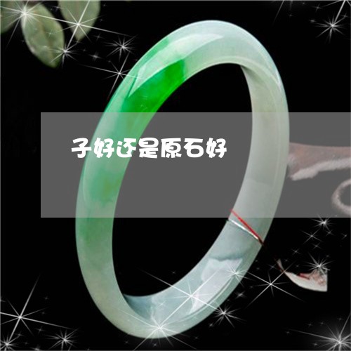 子好还是原石好/2023040381695 子好还是原石好/2023040381695