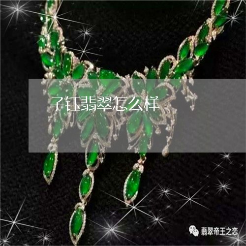 子钰翡翠怎么样/2023040382604 子钰翡翠怎么样/2023040382604