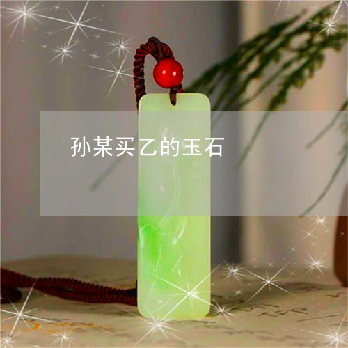 孙某买乙的玉石/2023040350492 孙某买乙的玉石/2023040350492
