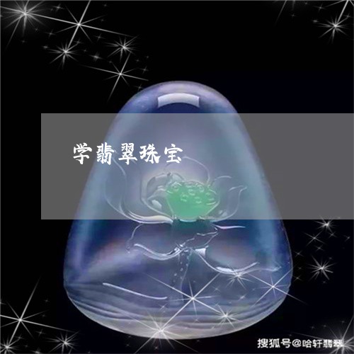 学翡翠珠宝/2023071516130