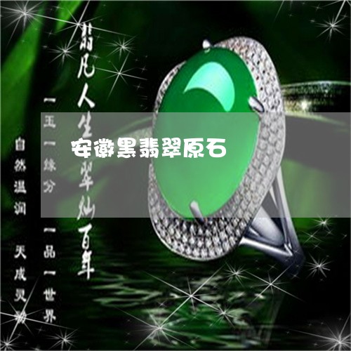 安徽黑翡翠原石/2023040327169 安徽黑翡翠原石/2023040327169