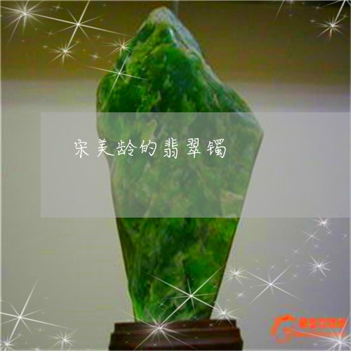 宋美龄的翡翠镯/2023040384625