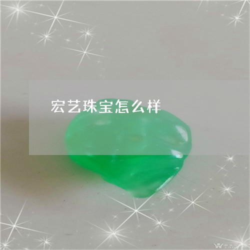 宏艺珠宝怎么样/2023040374724 宏艺珠宝怎么样/2023040374724