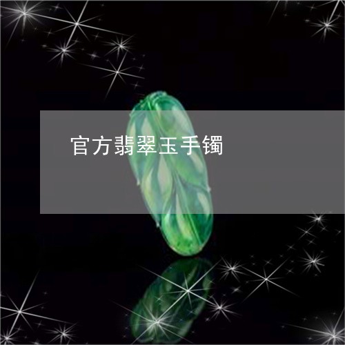 官方翡翠玉手镯/2023040305847 官方翡翠玉手镯/2023040305847