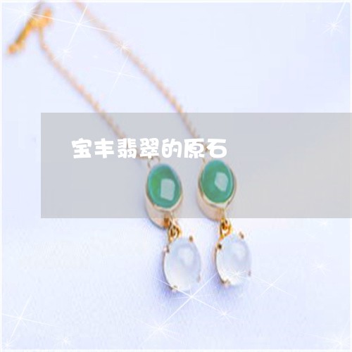 宝丰翡翠的原石/2023040393814 宝丰翡翠的原石/2023040393814