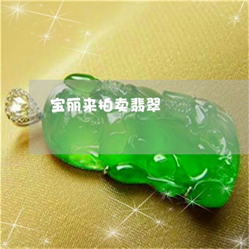 宝丽来拍卖翡翠/2023040384027 宝丽来拍卖翡翠/2023040384027