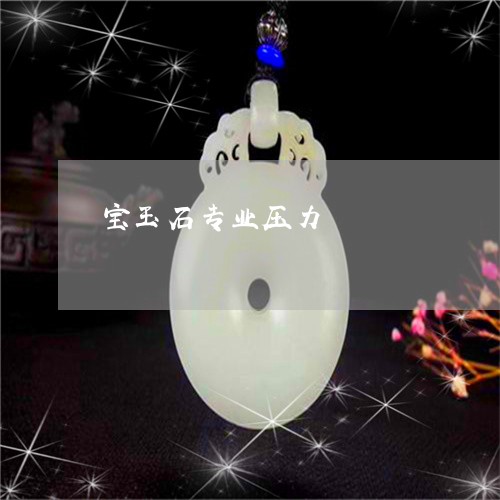 宝玉石专业压力/2023040304139