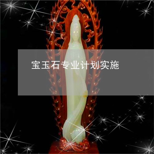 宝玉石专业计划实施/2023042182606