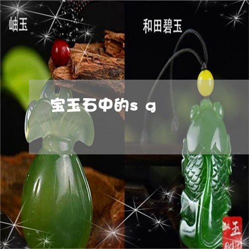 宝玉石中的sg/2023040317159