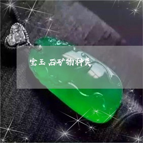 宝玉石矿物种类/2023040318271 宝玉石矿物种类/2023040318271