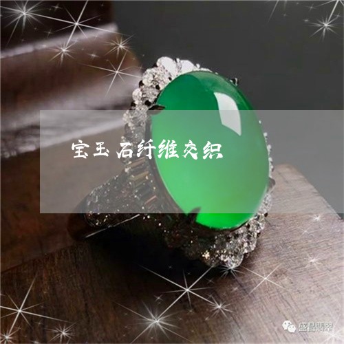 宝玉石纤维交织/2023040314938 宝玉石纤维交织/2023040314938