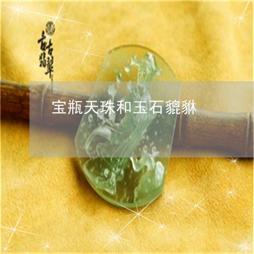 宝瓶天珠和玉石貔貅/2023042127168