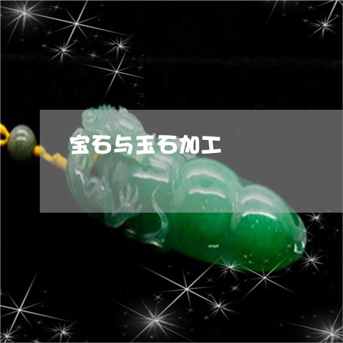 宝石与玉石加工/2023040328169 宝石与玉石加工/2023040328169
