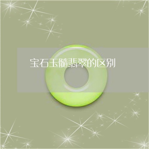 宝石玉髓翡翠的区别/2023042141570